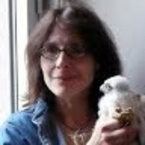 Meet your Posher, Deborah